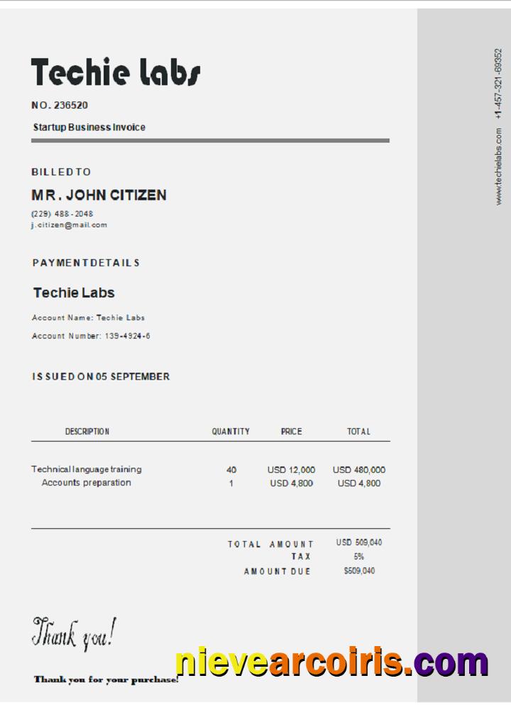 USA Techie Labs invoice